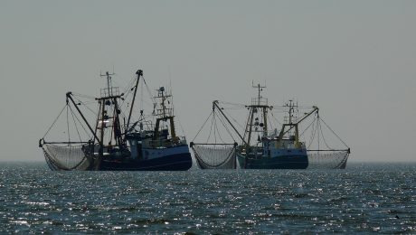 boats-1039093_1920