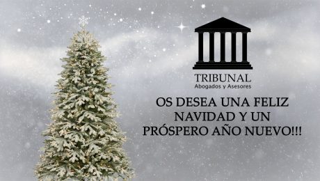 TRIBUNAL 2019 NAVIDAD