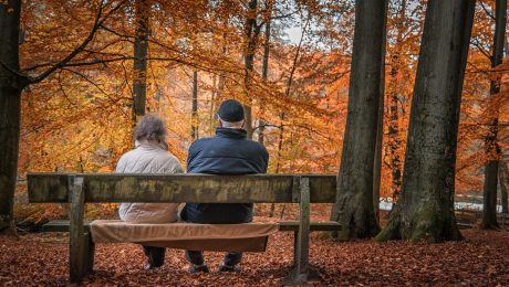autumn-1791854_1920